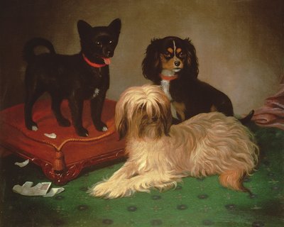 3匹の犬（油） 作： William Elsob Marshall